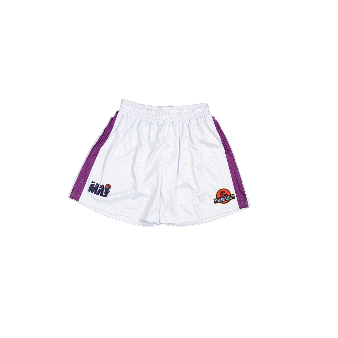 MA1 Absolute Raptors Basketball Shorts in breathable mesh