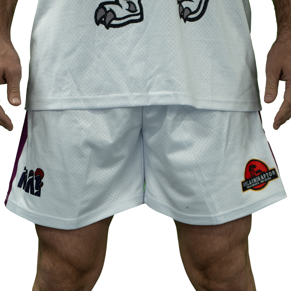 MA1 Absolute MMA Raptors Basketball Shorts