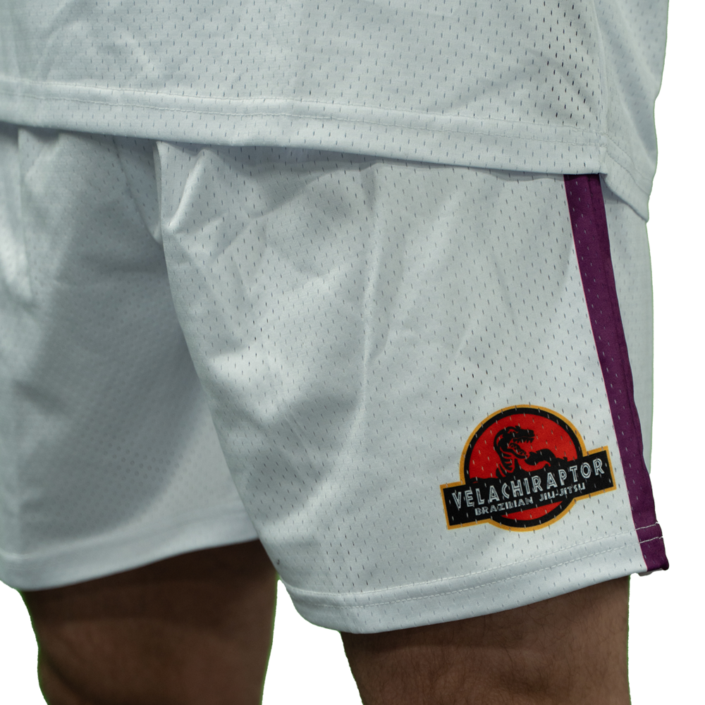 MA1 Absolute MMA Raptors Basketball Shorts