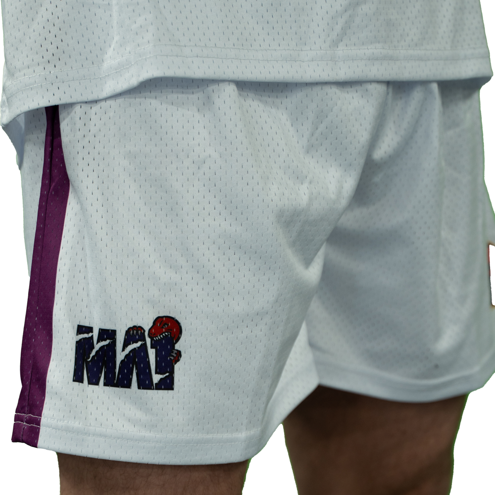 MA1 Absolute MMA Raptors Basketball Shorts - product photo 3
