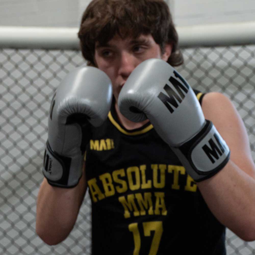 MA1 Combat Leather Boxing Gloves - Grey