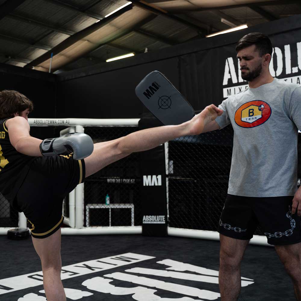 MA1 Kids Combat Grey Leather Thai Pads - product photo 2