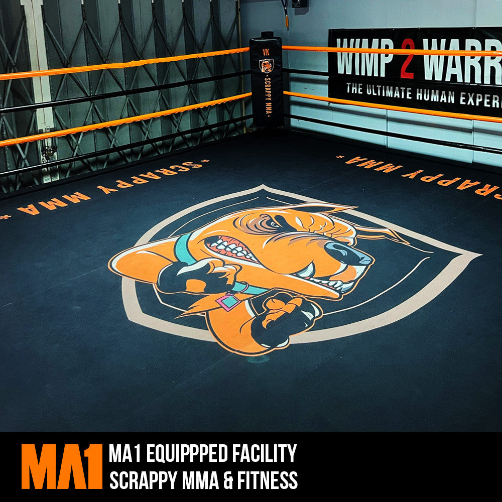 MA1 Custom Elevated Boxing Ring
