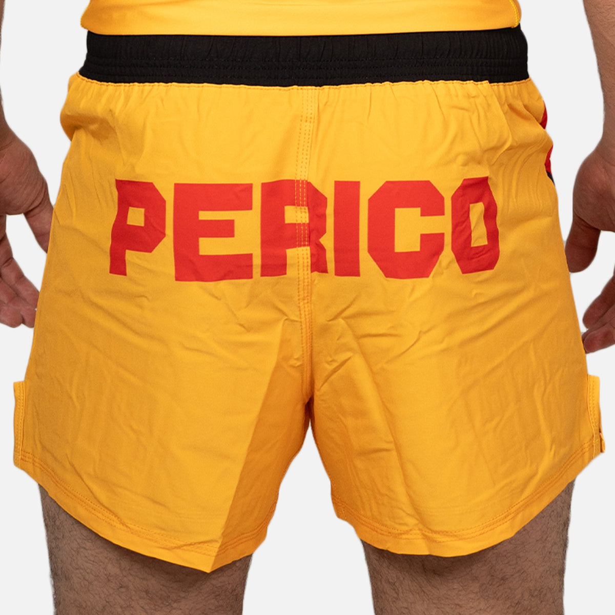 MA1 El Segundo Colombia High Cut MMA Shorts - product photo 4