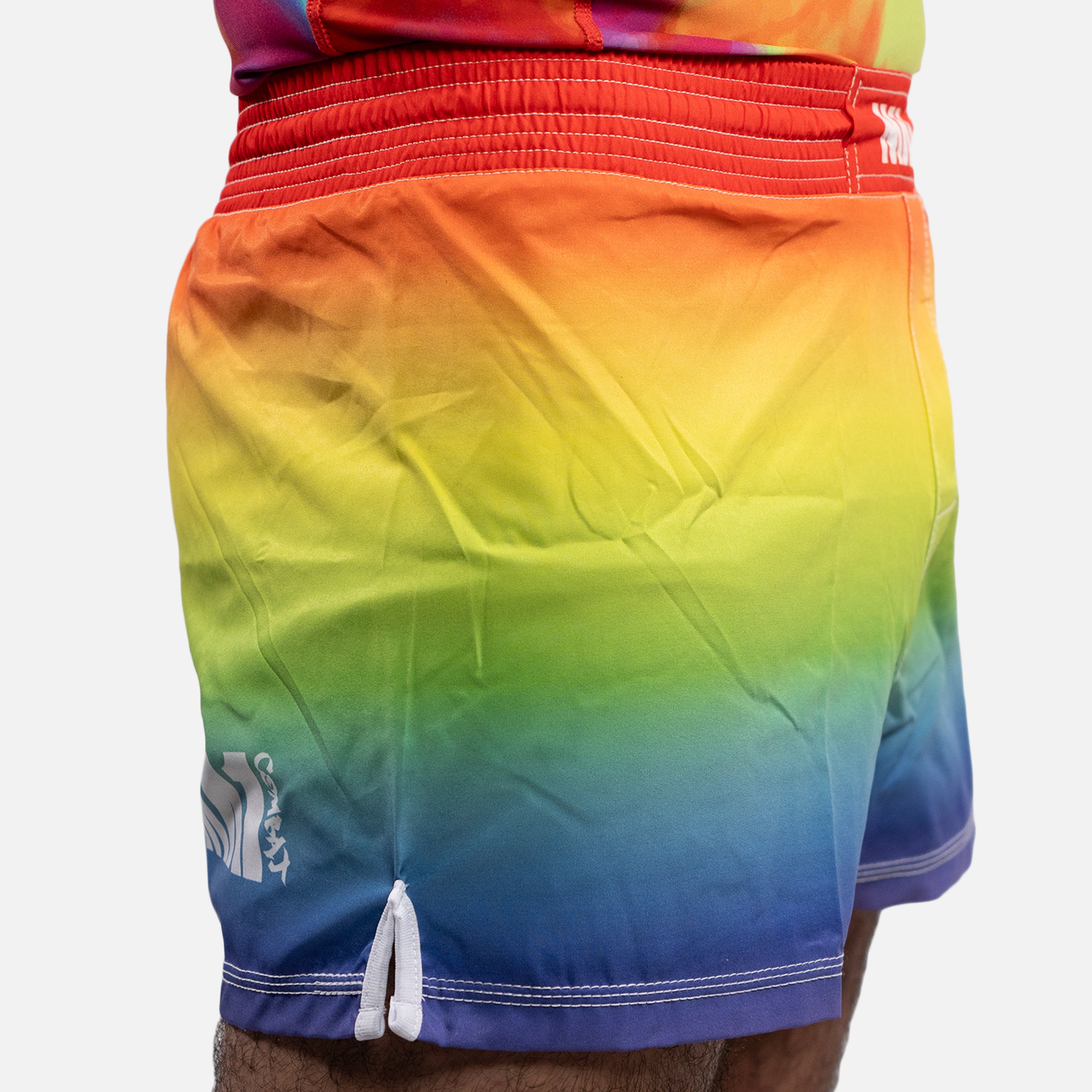 MA1 Rainbow Slim Fit High Cut MMA Shorts